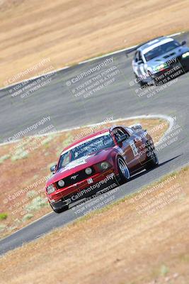 media/May-06-2023-Lucky Dog Racing (Sat) [[8f2256f436]]/Turn 2 10a/
